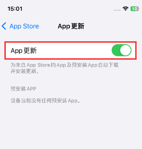 深州苹果15维修中心如何让iPhone15APP自动更新